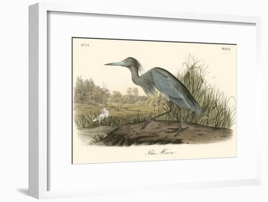 Blue Heron-John James Audubon-Framed Art Print