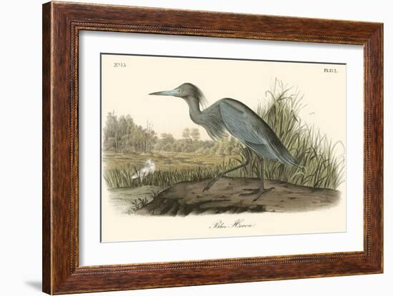 Blue Heron-John James Audubon-Framed Art Print