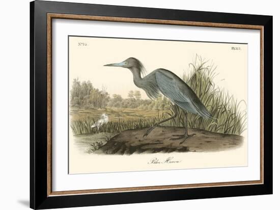 Blue Heron-John James Audubon-Framed Art Print