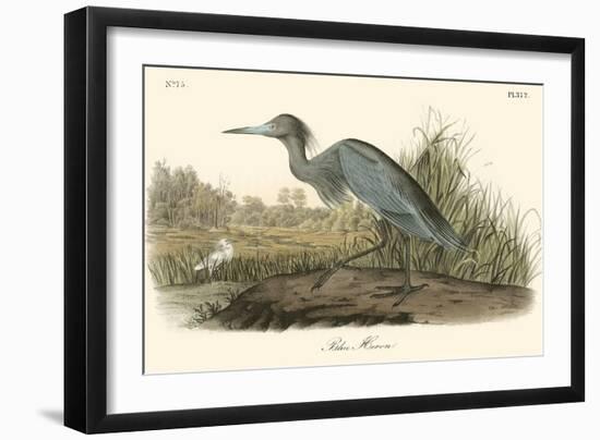 Blue Heron-John James Audubon-Framed Art Print