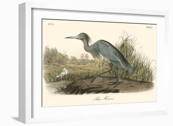 Blue Heron-John James Audubon-Framed Art Print