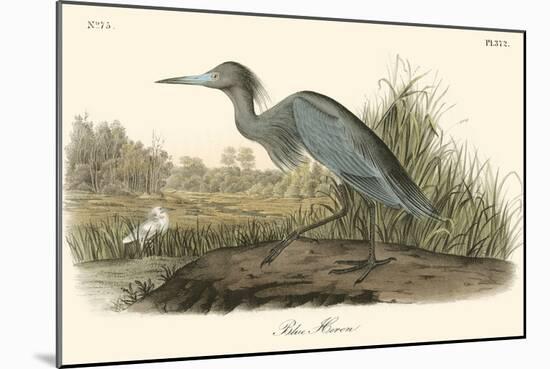 Blue Heron-John James Audubon-Mounted Art Print