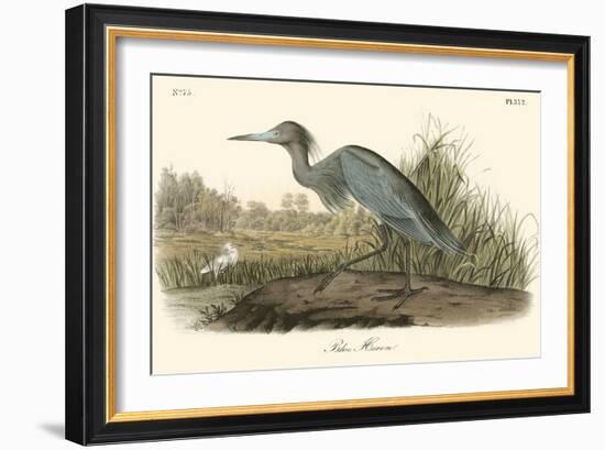 Blue Heron-John James Audubon-Framed Art Print