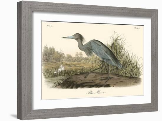 Blue Heron-John James Audubon-Framed Premium Giclee Print