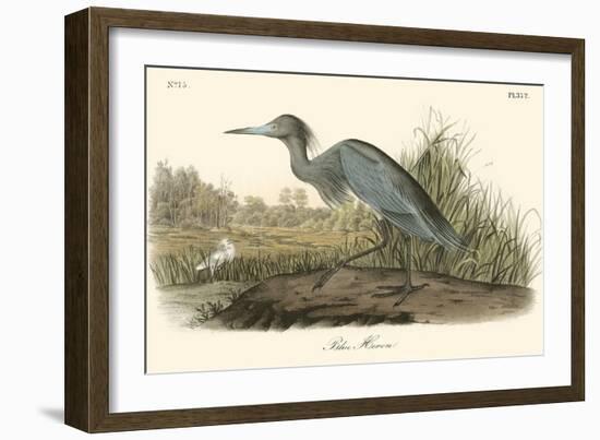 Blue Heron-John James Audubon-Framed Premium Giclee Print