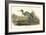 Blue Heron-John James Audubon-Framed Premium Giclee Print