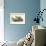Blue Heron-John James Audubon-Framed Premium Giclee Print displayed on a wall