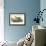 Blue Heron-John James Audubon-Framed Premium Giclee Print displayed on a wall