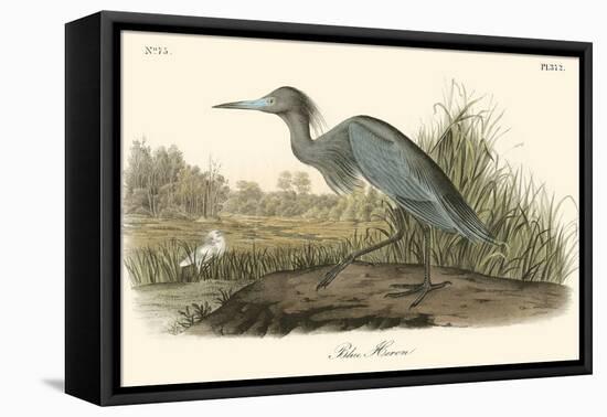 Blue Heron-John James Audubon-Framed Stretched Canvas