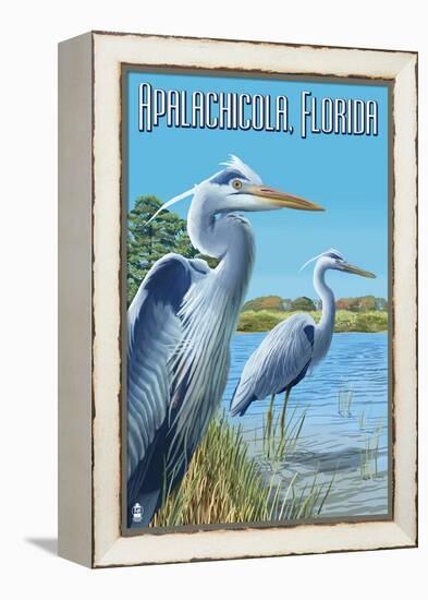 Blue Herons in Grass - Apalachicola, Florida-Lantern Press-Framed Stretched Canvas