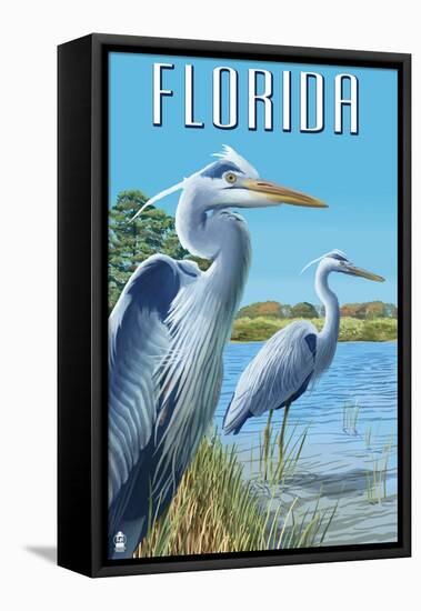Blue Herons in Grass - Florida-Lantern Press-Framed Stretched Canvas