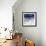 Blue Horizon-Sisa Jasper-Framed Art Print displayed on a wall
