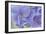 Blue Hortensia-Cora Niele-Framed Photographic Print