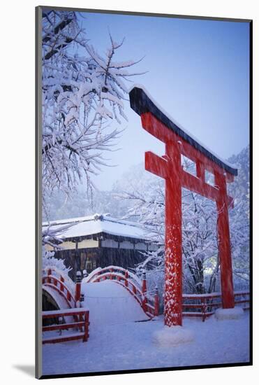 Blue hour in Shimogamo Shrine, UNESCO World Heritage Site, during the largest snowfall on Kyoto in-Damien Douxchamps-Mounted Photographic Print