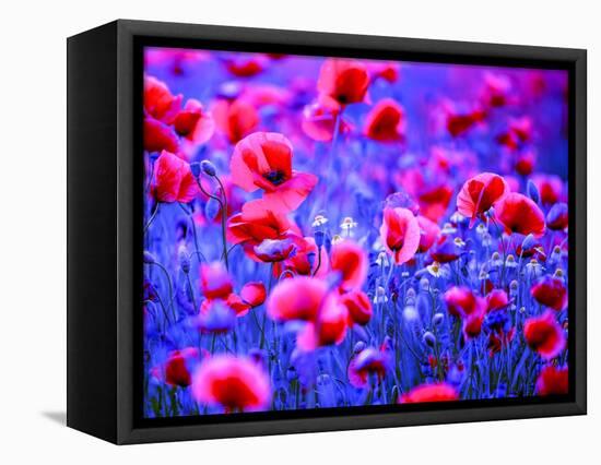 Blue hour-Marco Carmassi-Framed Premier Image Canvas