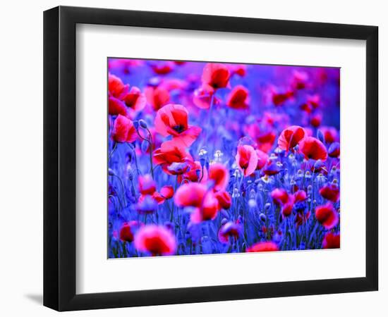 Blue hour-Marco Carmassi-Framed Photographic Print