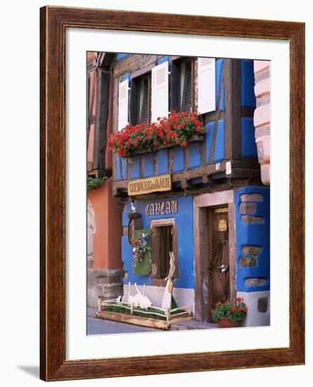 Blue House with Windowbox Full of Geraniums, Niedermorschwihr, Haut-Rhin, Alsace, France-Ruth Tomlinson-Framed Photographic Print