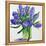 Blue Hyacinths-Christopher Ryland-Framed Premier Image Canvas