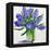 Blue Hyacinths-Christopher Ryland-Framed Premier Image Canvas