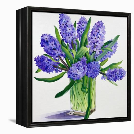 Blue Hyacinths-Christopher Ryland-Framed Premier Image Canvas