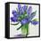 Blue Hyacinths-Christopher Ryland-Framed Premier Image Canvas