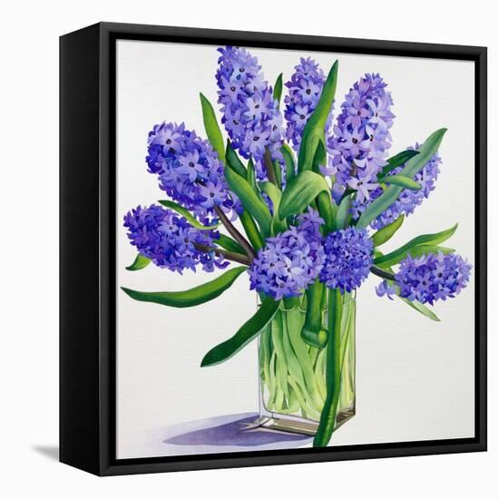 Blue Hyacinths-Christopher Ryland-Framed Premier Image Canvas