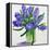 Blue Hyacinths-Christopher Ryland-Framed Premier Image Canvas