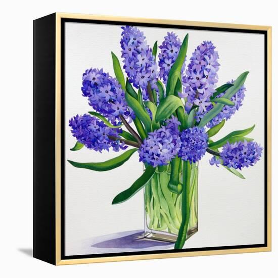 Blue Hyacinths-Christopher Ryland-Framed Premier Image Canvas