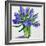 Blue Hyacinths-Christopher Ryland-Framed Giclee Print