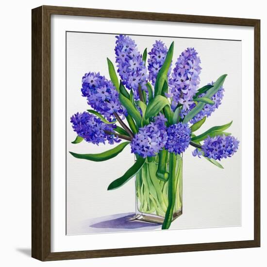 Blue Hyacinths-Christopher Ryland-Framed Giclee Print