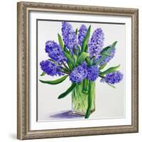 Blue Hyacinths-Christopher Ryland-Framed Giclee Print