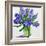 Blue Hyacinths-Christopher Ryland-Framed Giclee Print