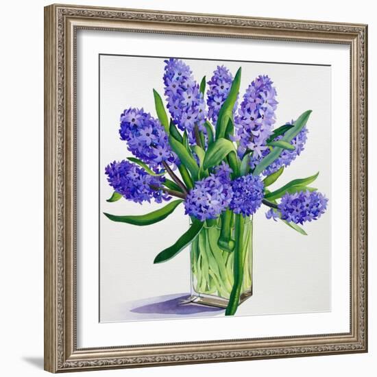 Blue Hyacinths-Christopher Ryland-Framed Giclee Print