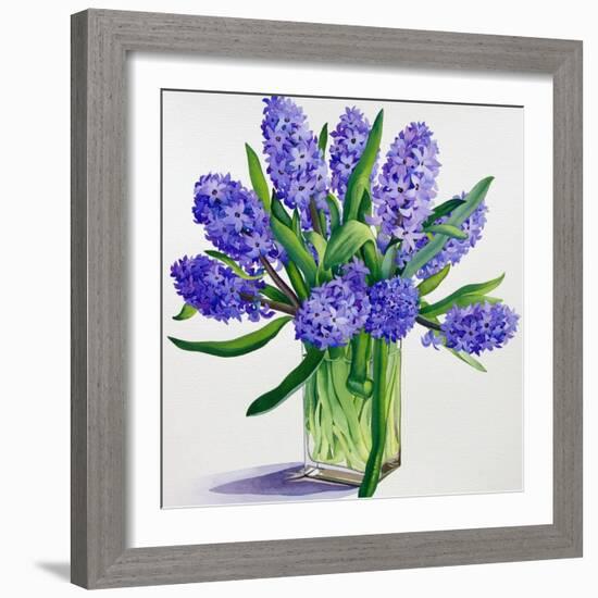 Blue Hyacinths-Christopher Ryland-Framed Giclee Print