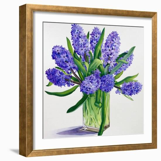 Blue Hyacinths-Christopher Ryland-Framed Giclee Print