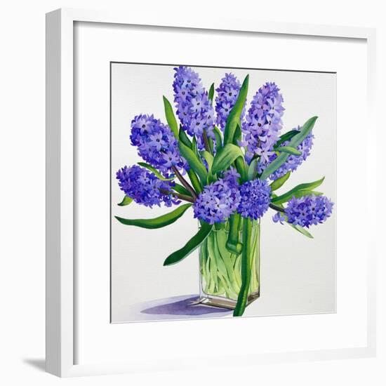 Blue Hyacinths-Christopher Ryland-Framed Giclee Print