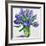 Blue Hyacinths-Christopher Ryland-Framed Giclee Print