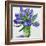 Blue Hyacinths-Christopher Ryland-Framed Giclee Print