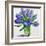 Blue Hyacinths-Christopher Ryland-Framed Giclee Print