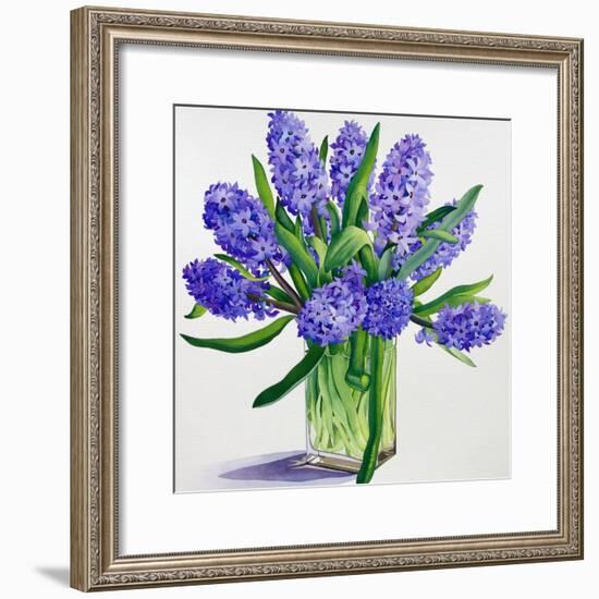 Blue Hyacinths-Christopher Ryland-Framed Giclee Print