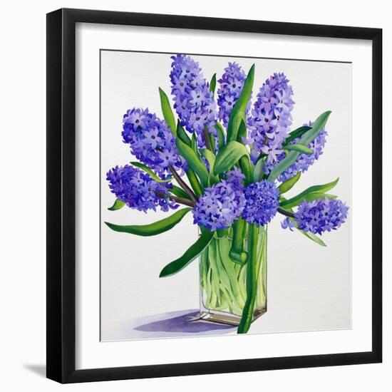 Blue Hyacinths-Christopher Ryland-Framed Giclee Print