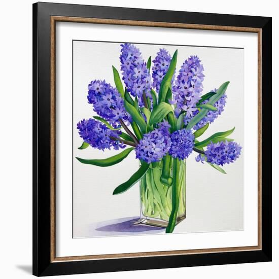 Blue Hyacinths-Christopher Ryland-Framed Giclee Print