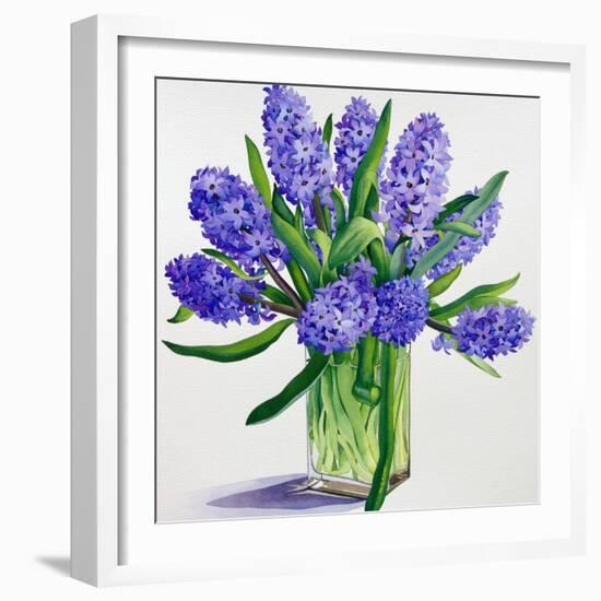 Blue Hyacinths-Christopher Ryland-Framed Giclee Print