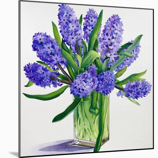 Blue Hyacinths-Christopher Ryland-Mounted Giclee Print