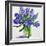 Blue Hyacinths-Christopher Ryland-Framed Giclee Print