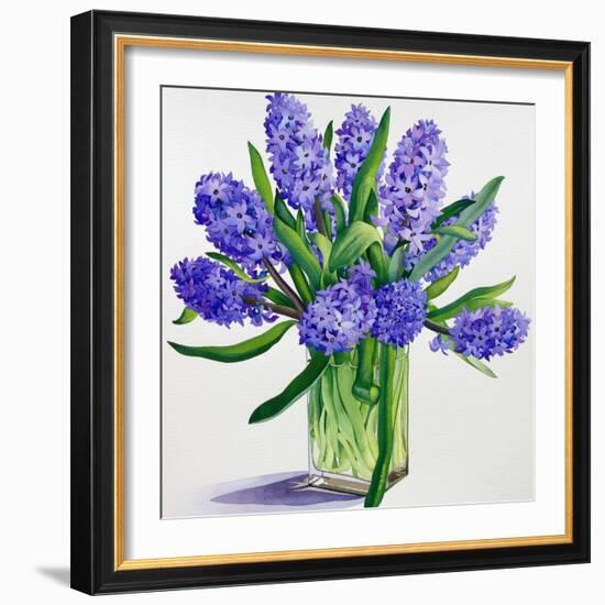 Blue Hyacinths-Christopher Ryland-Framed Giclee Print