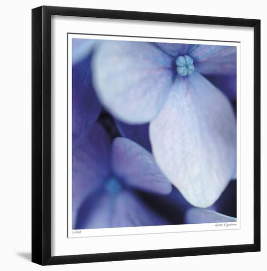 Blue Hydrangea 1-Stacy Bass-Framed Giclee Print