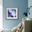 Blue Hydrangea 1-Stacy Bass-Framed Giclee Print displayed on a wall