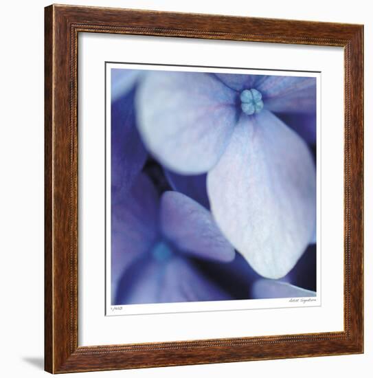 Blue Hydrangea 1-Stacy Bass-Framed Giclee Print