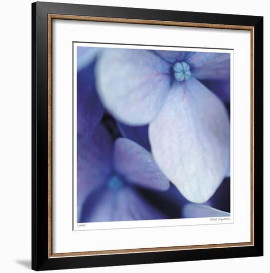 Blue Hydrangea 1-Stacy Bass-Framed Giclee Print